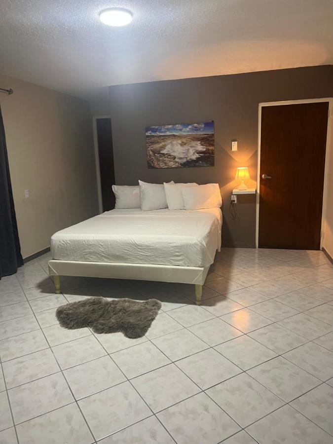 Cataleya Apartments Near Airport Willemstad Zewnętrze zdjęcie
